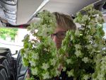 74. durch die Blumen 